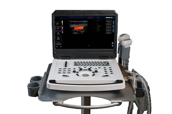 CE 휴대용 컬러 도플러 초음파 기계 스캐너 OEM