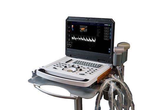 CE 휴대용 컬러 도플러 초음파 기계 스캐너 OEM
